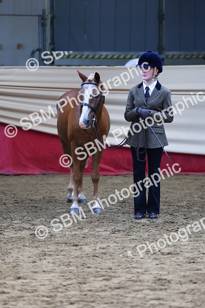 SBM_22391 - Class 902 - Supreme Final - IH Diamond