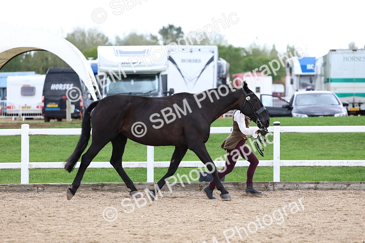 SBM_05042 - Class 27 - IH Competition Horse or Pony