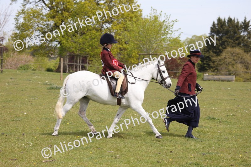 20260426-4086 - Small Pony Championship