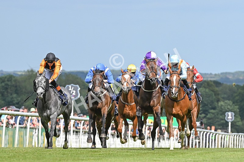 080624-Race 5-Ludos Landing-7436 - Race 5