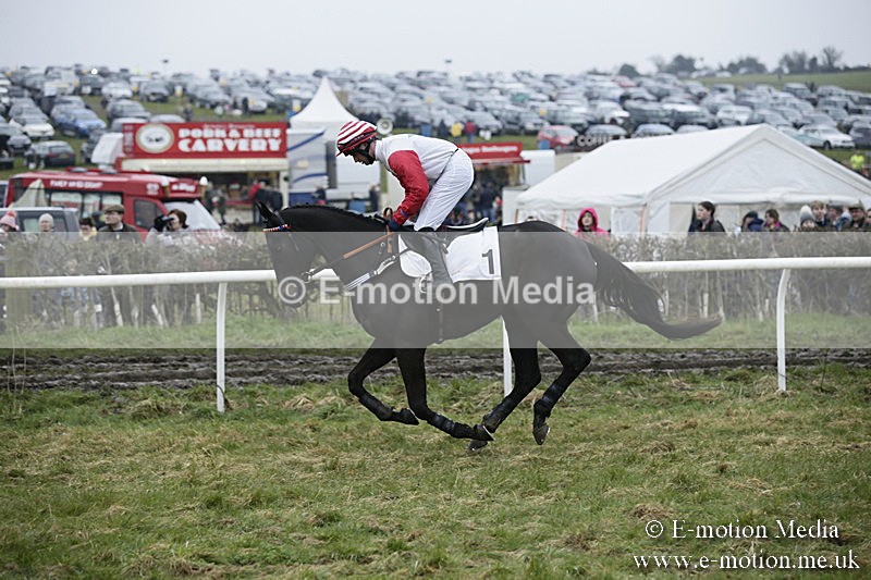 PtP 020418 -14 - Old Berks Point-to-Point Races Easter Monday 02/04/18