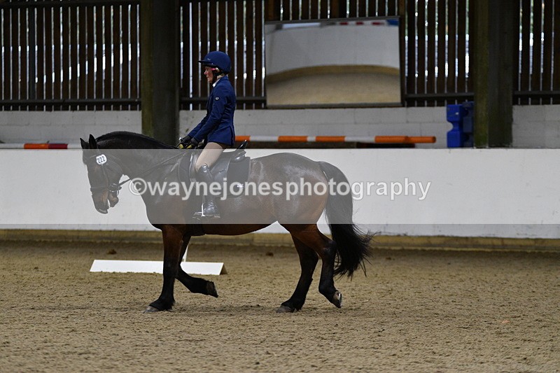 WJ5_8506 - Class 5 Novice Test 3