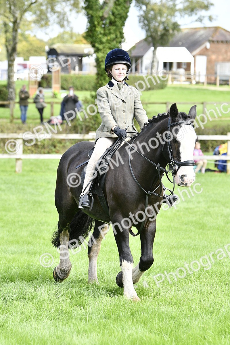 SBM_41557 - S32 - Mountain & Moorland Working Hunter Pony