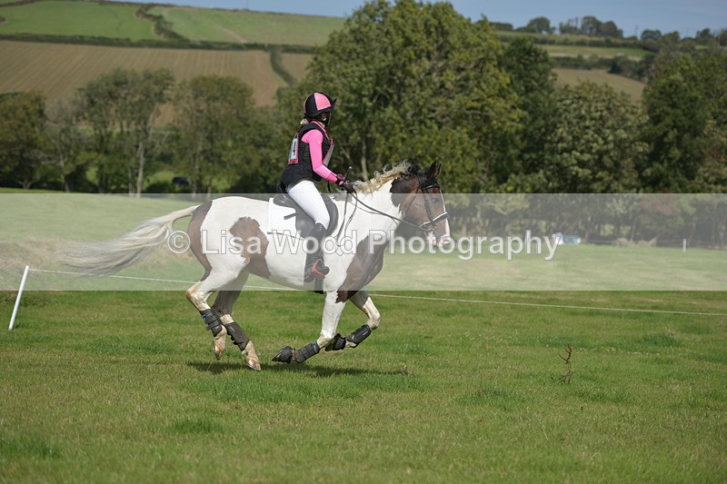 RAY_8631 - Class 2: Trekenning Open: Wall