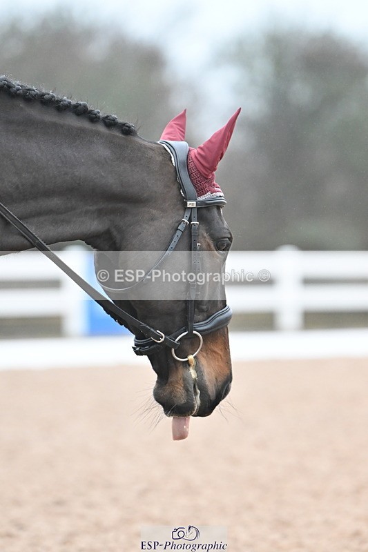 240217A-091111-00317 - 121-Jane.Dyer-Maen.Valley