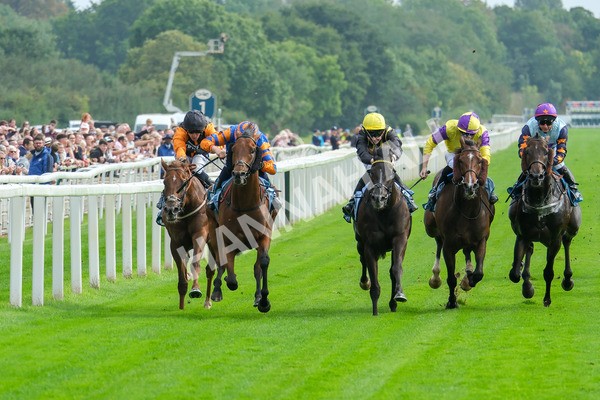 080925-Race 4-Zain Blue-9041 - Race 4 4.00pm Sky Bet Extra Places Middle Distance Handicap
