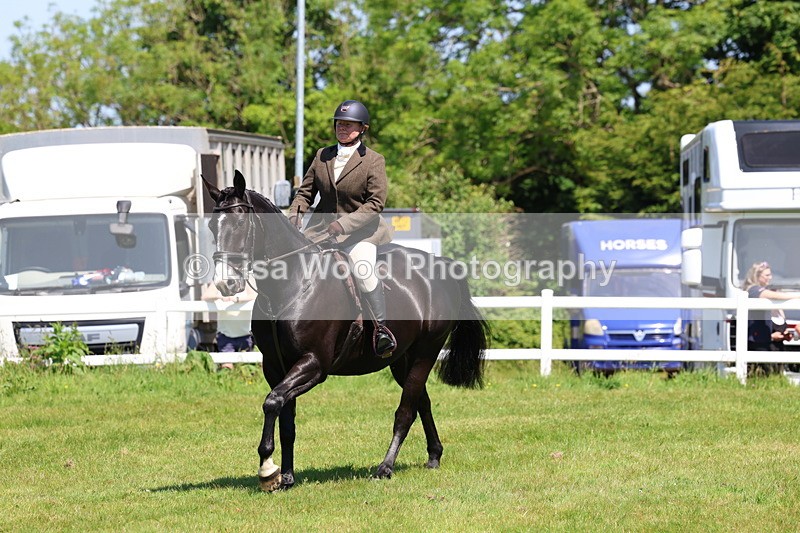 3E7A7207 - Class 30: Novice Working Hunter