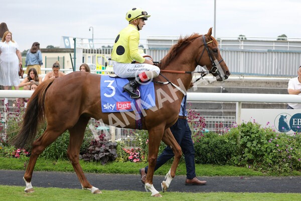 yr24072021r3-8 - Race 3 3.15pm Sky Bet York Stakes