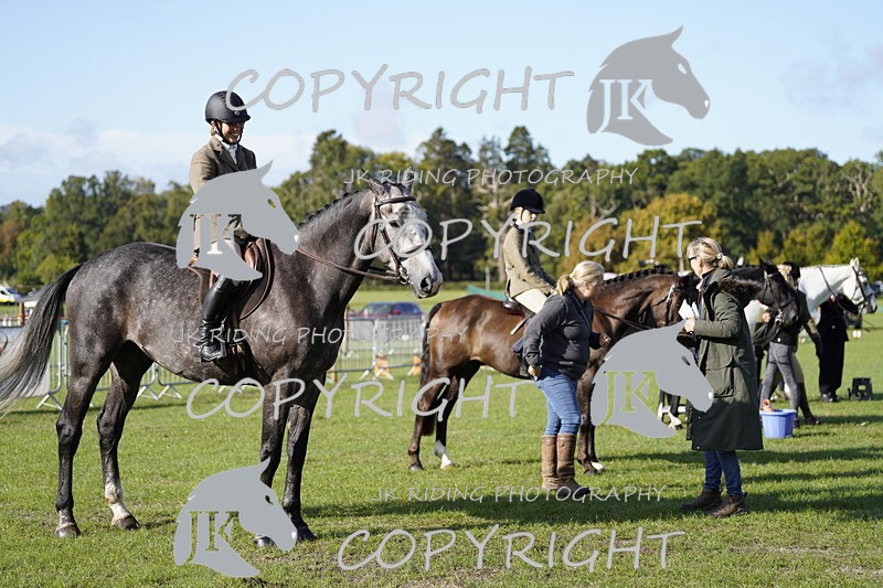 _DSC9545 - Class 8 & 17 Ridden Hunter & Ridden Hunter Pony