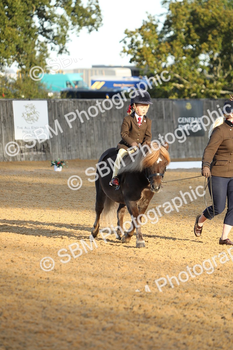 SBM_33529 - D26 - Starers - Lead Rein