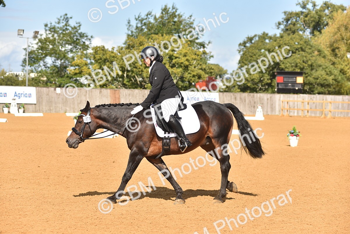 SBM_05517 - D15 - Small Tour Championship Novice 1