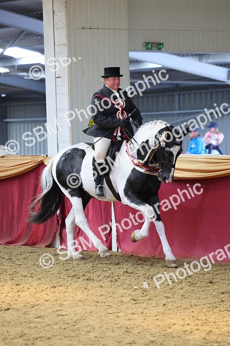 SBM_23853 - Class 904 - Supreme Final Ridden Diamond