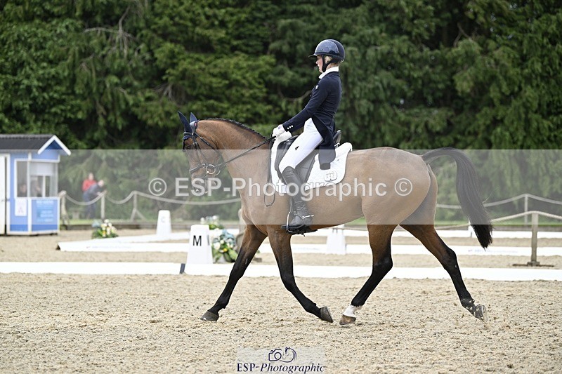 240523-144909-05104 - 442-FERNHILL_ZORO-Cassie_Sanger