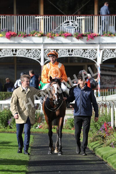 yr07102022r3-37 - Race 3 3.15pm British EBF £100,000 2yo Series Final (Colts and Geldings)