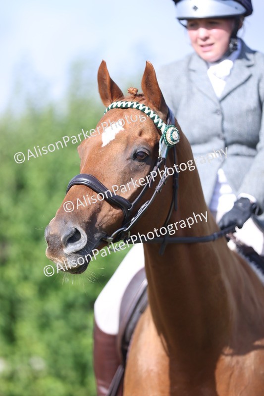 20250831-0861 - Class 14 - Ex Racehorse