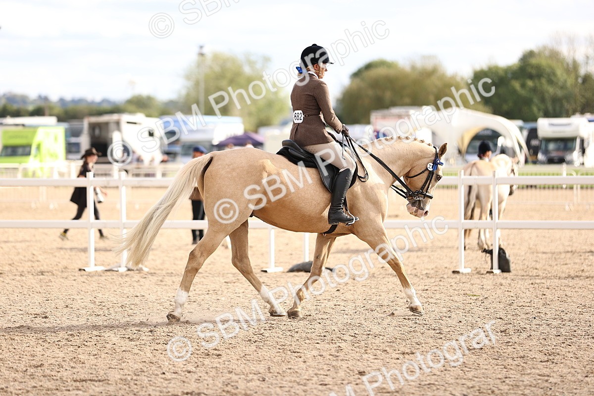 SBM_18219 - Class 423 - Equitation (best rider) Adult