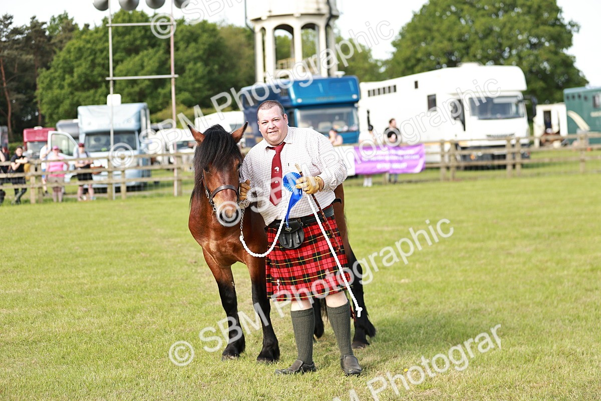SBM_00760 - Class 14-23 - Mountain & Moorland In Hand Non Welsh
