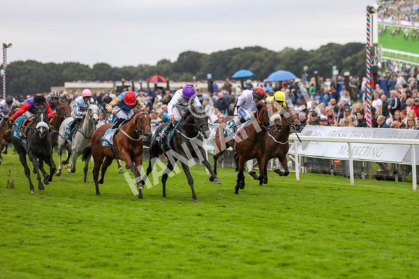 210824-Race 7-Yes Im Mali-7486 - Race 7 5.20pm Sky Bet Nursery Handicap