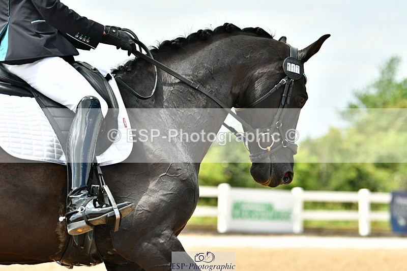 230701A-143834-06782 - Cls 11 Medium 73