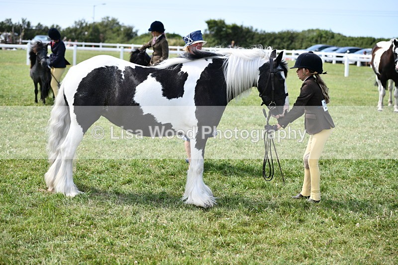 DSC_8138 - Class 67: Child Handler 11 - 16 years