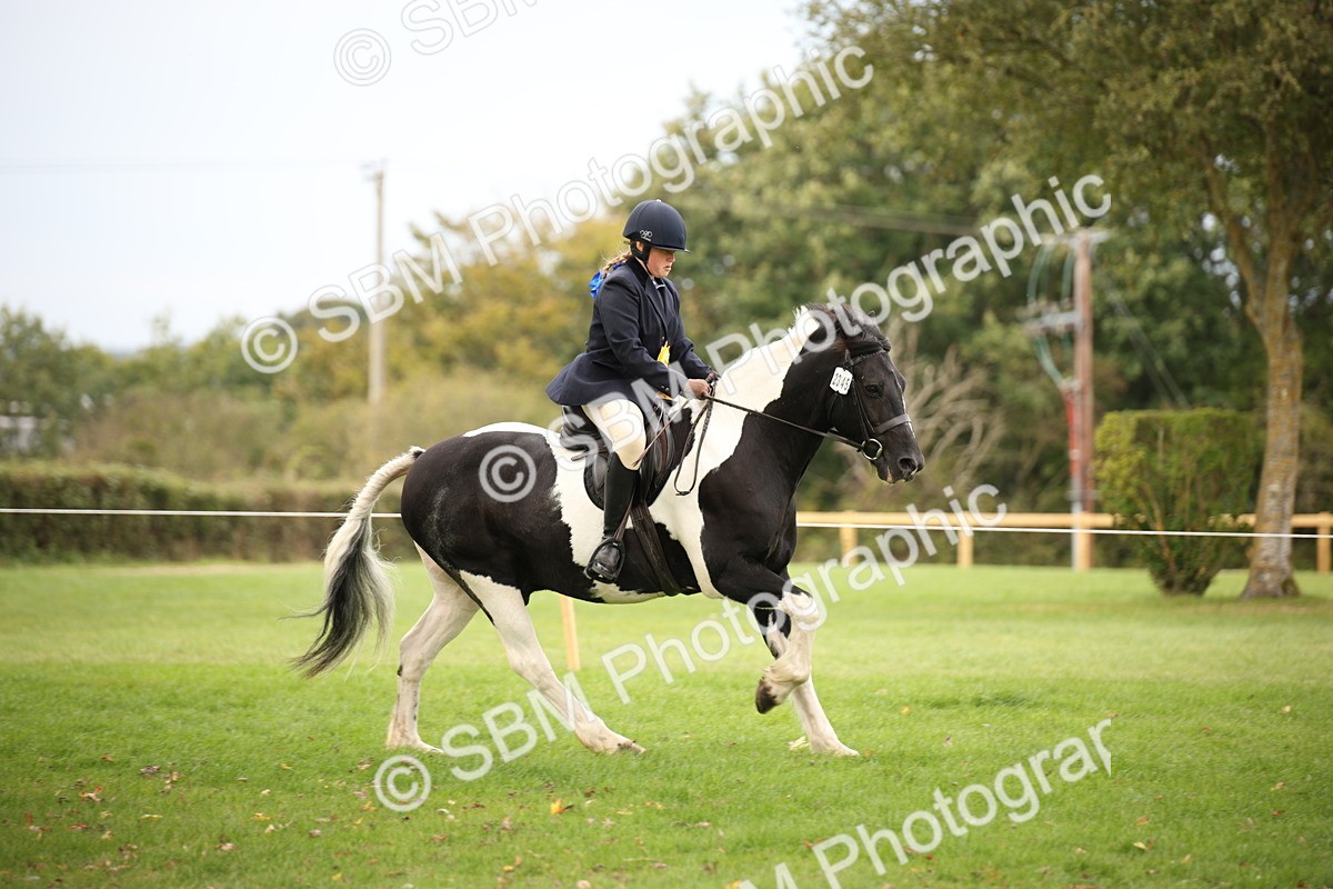 SBM_72413 - S67 - Show Cob Ridden