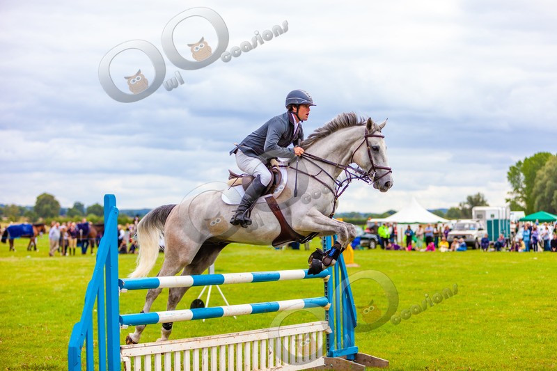 Eventing Horse_3288 - Pet Photography