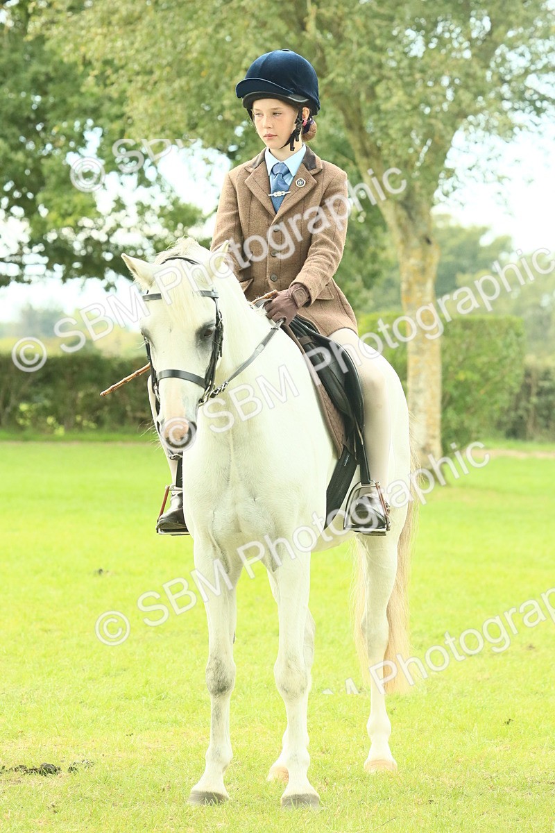 SBM_69983 - S59 - Mountain & Moorland Ridden Small Breeds