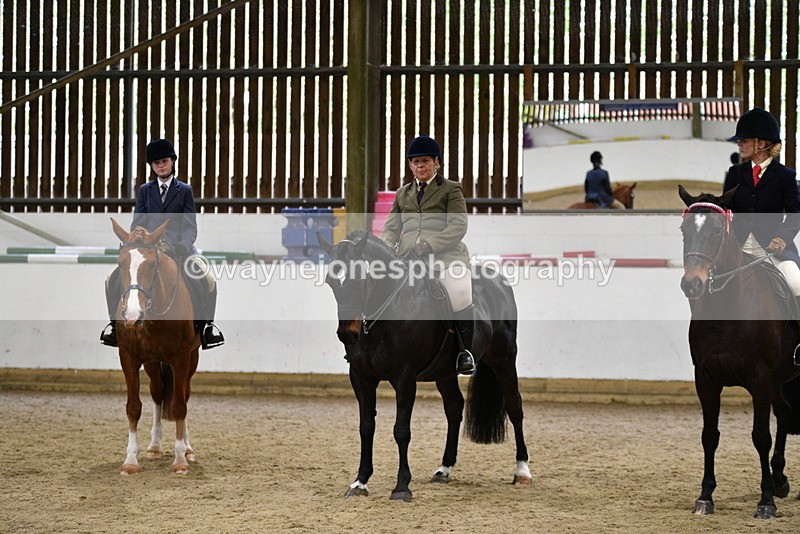 WJ5_8049 - Class 13 Ridden Part Breed