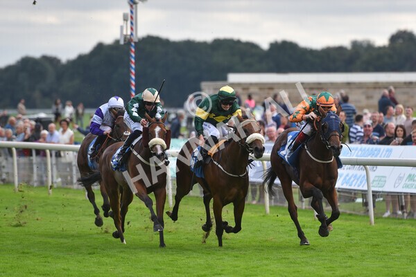 yr24092021r7-36 - Race 7 4.55pm William Hill Free or Four Fillies' Stakes