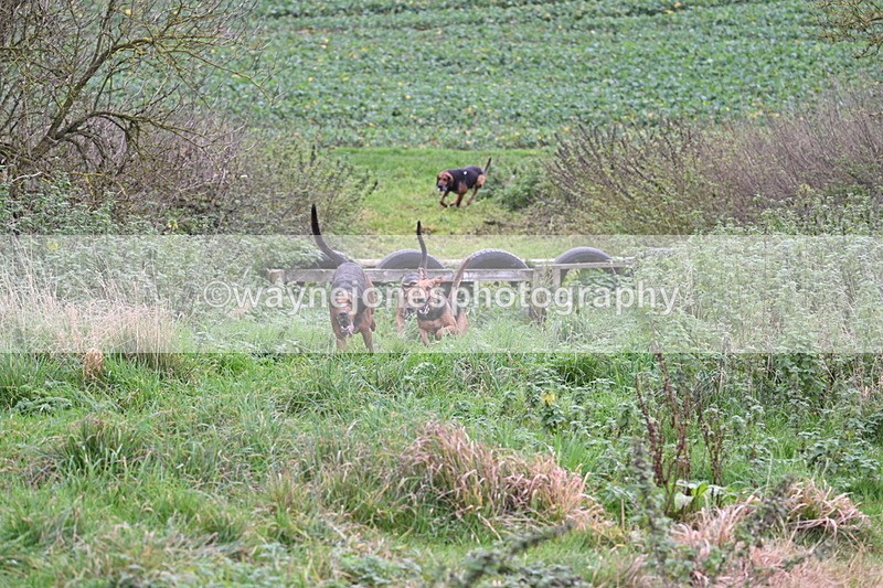 WJ7_8927 - Camera 1 only on this line