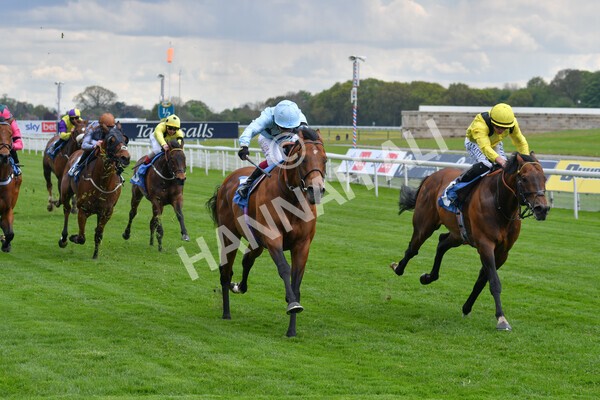 yr12052021r3-20 - Race 3 2.40pm Duke of York Clipper Logistics Stakes