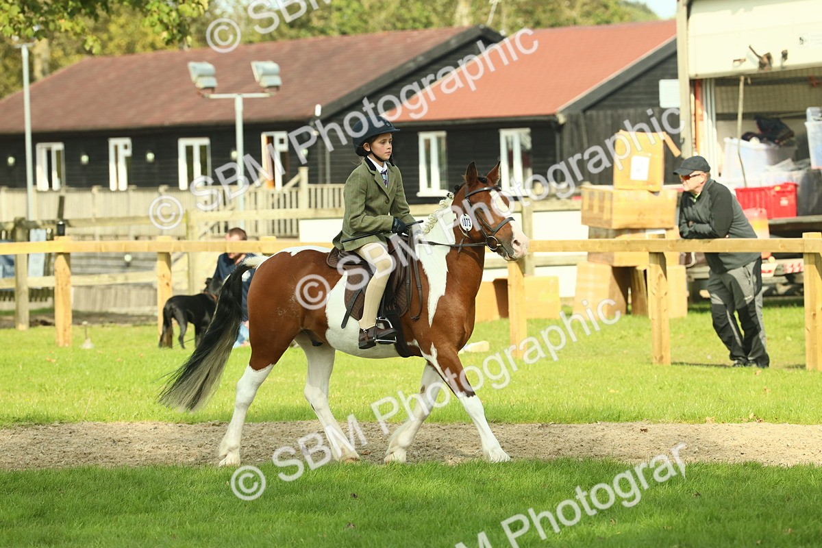 SBM_68929 - S58 - Mini Show Cob Ridden