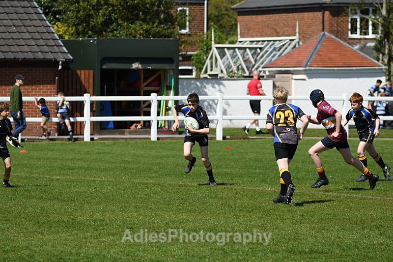  - Selby Rugby Festival 2025