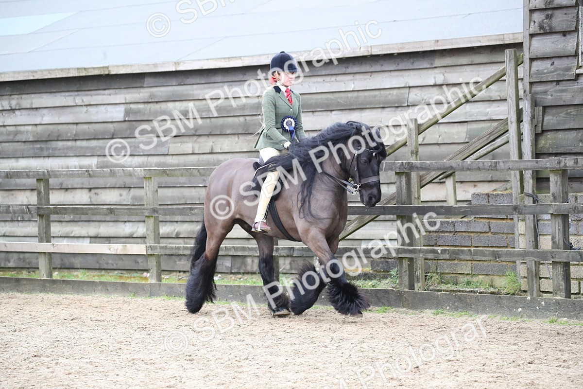 SBM_006477 - Class 10-13 - RIHS Small Large Breeds