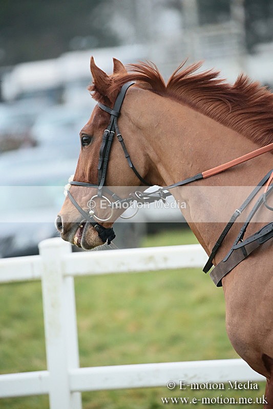 PtP 170219 -545 - Combined Services Point-To-Point Larkhill 17/02/19