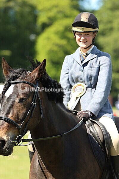 IMG_4197 - Working Hunter