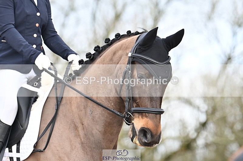 240218A-101747-05475 - 119-Shona.Mclauchlan-Diamond.Darco