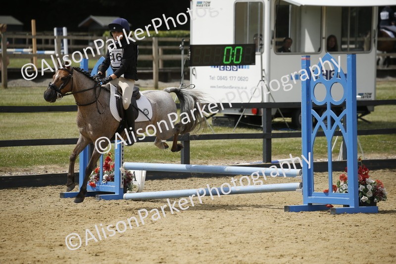 20250622-4141 - 50cm