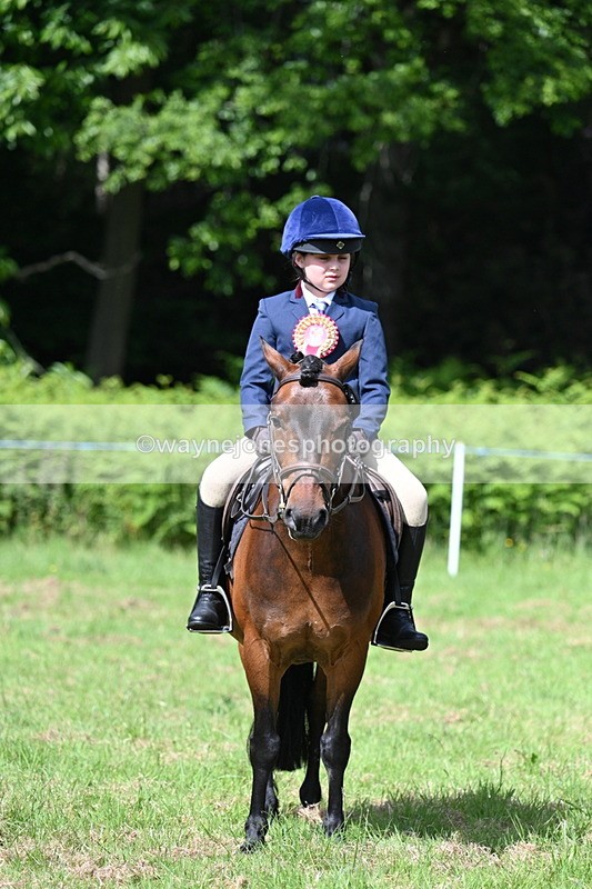 WJ7_0923 - Class 8 First Rally Pony