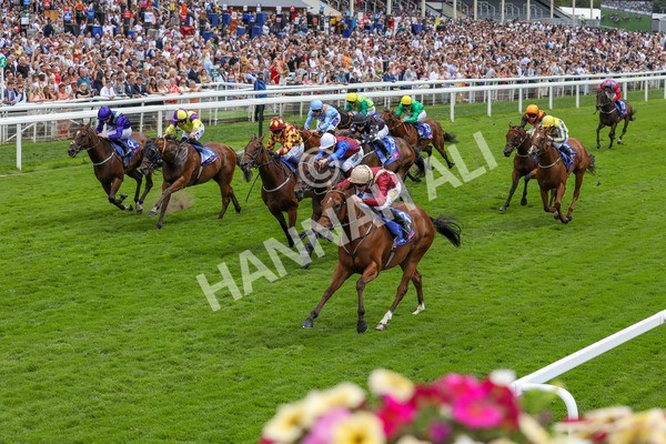 270724-Race 2-Rage Of Bamby-4651 - Race 2 2.40pm Sky Bet Dash Handicap
