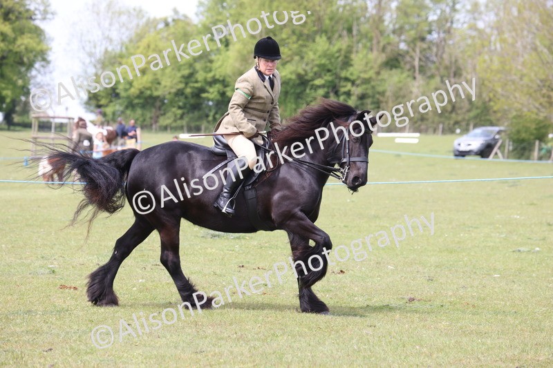 20260426-2993 - Class 33 - Best Pony 14.2hh and Under