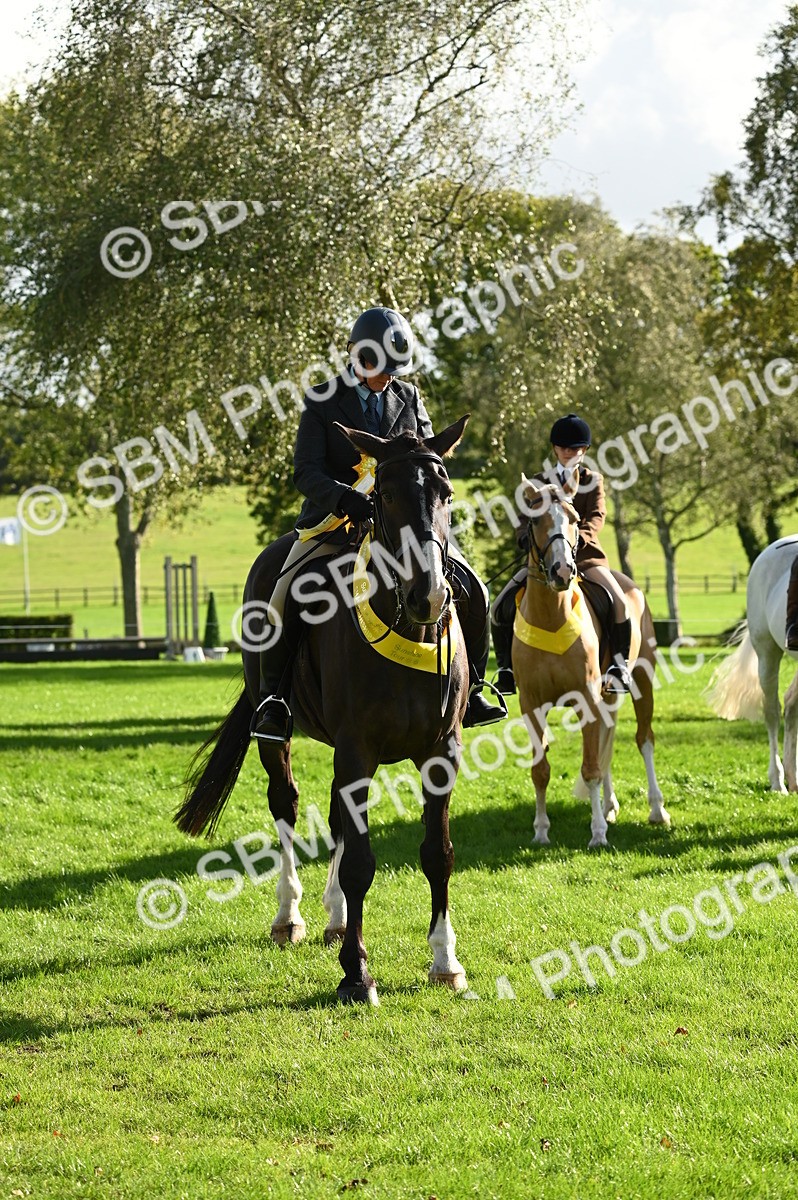SBM_26460 - S6 - Novice & newcomer Ridden horse