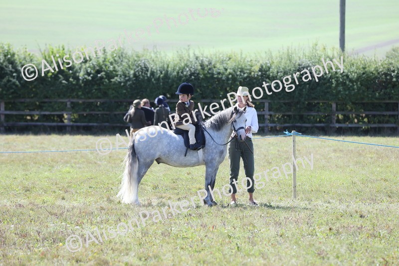 20250831-2625 - Class 17 - Lead Rein Pony