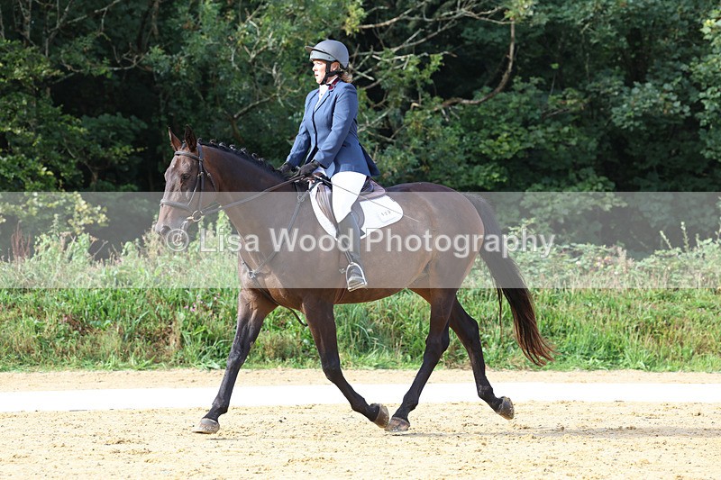 3E7A2179 - Class 1: Intro 4 2024 section A