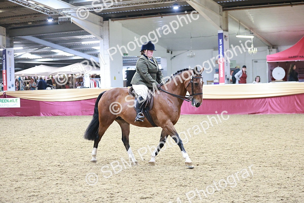 SBM_08205 - Class 11R - Regional Ridden Veteran