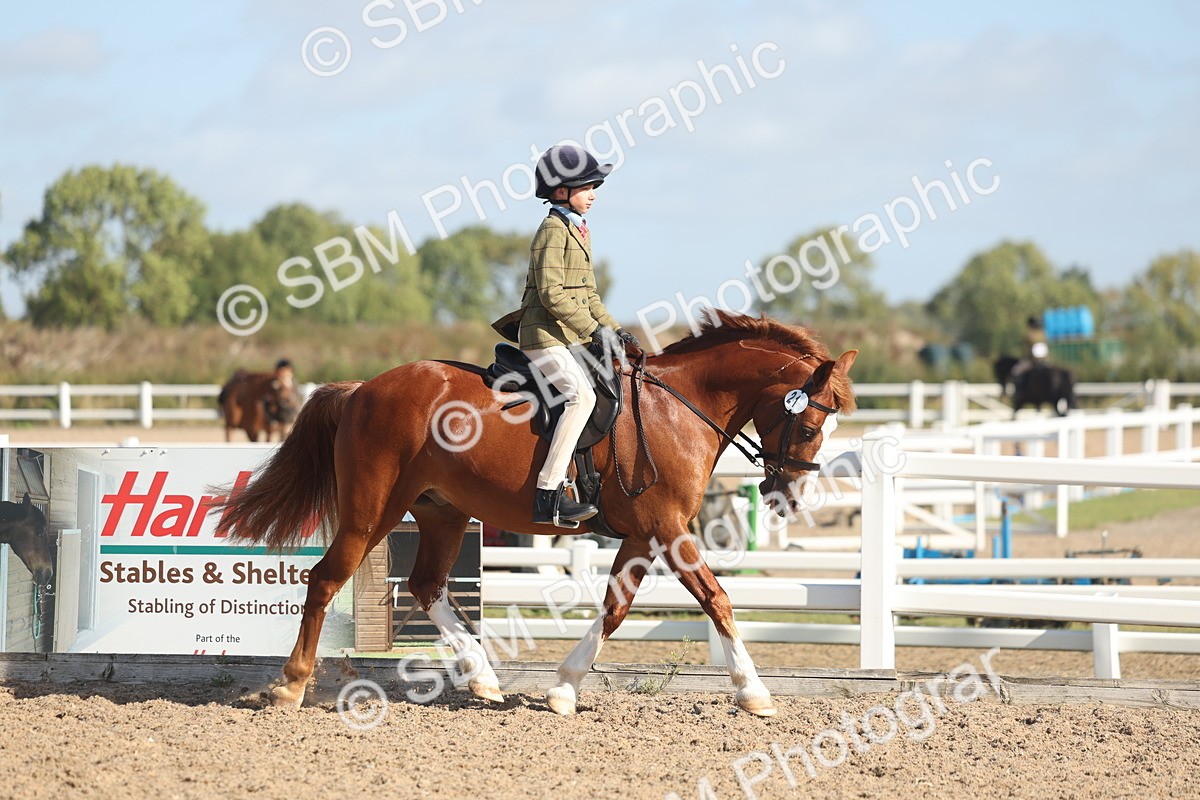 SBM_22598 - Class 804 - Ridden Veteran Pony
