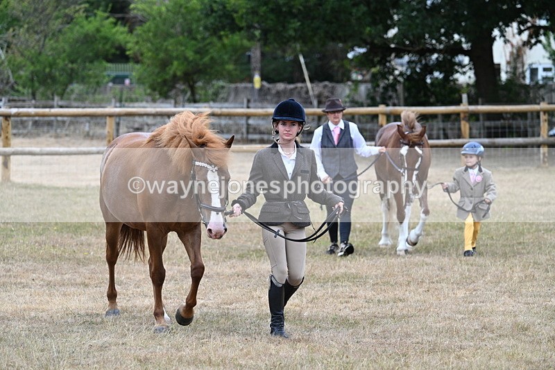 WJ7_8045 - Class 4 Prettiest Mare up to 14.2hh
