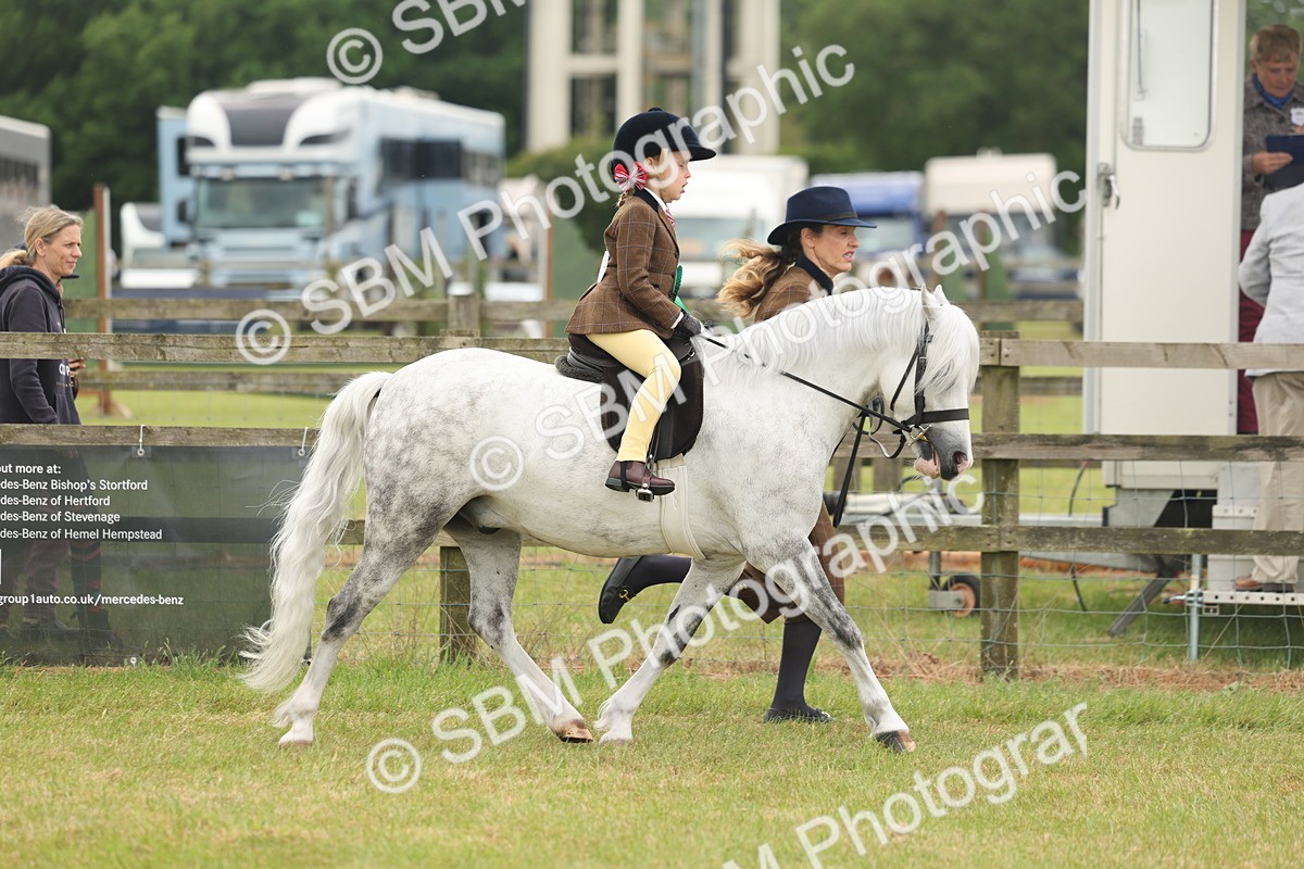 SBM_06843 - Class 74-75 - M&M Lead Rein and First Ridden Pony