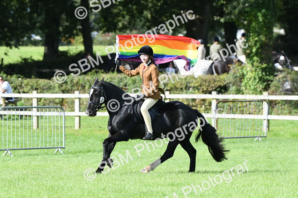 SBM_47052 - S12 - Family Horse & Pony