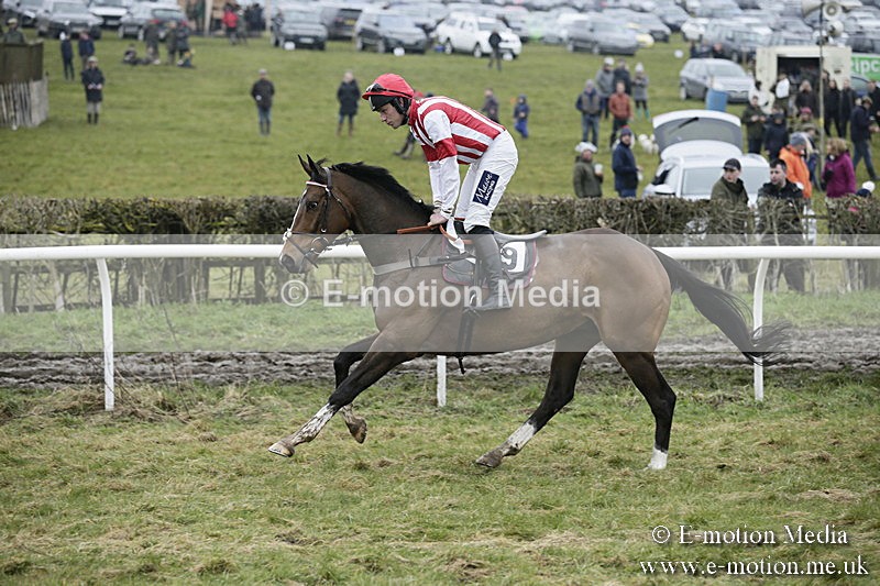 PtP 020418 -125 - Old Berks Point-to-Point Races Easter Monday 02/04/18